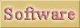 Downloads Files